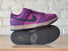 Nike Dunk Low Retro 'Viotech'